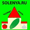 Открыта страница: Начальная страница сайта SOLENYA.RU